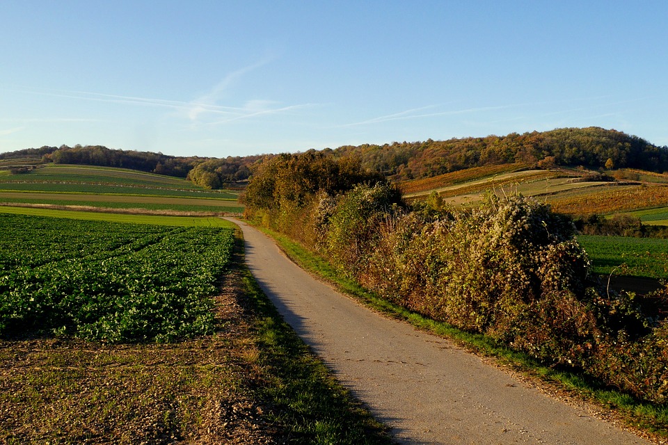 Wandern im Burgenland: Photo by Vikino, CC0 Public Domain (CC0 1.0)