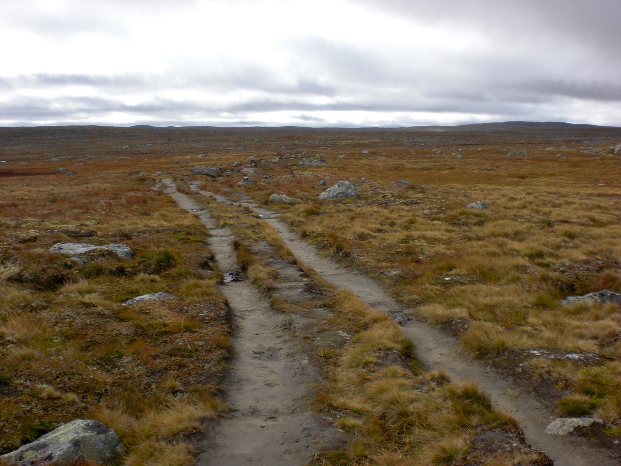Hardangervidda Anfänger