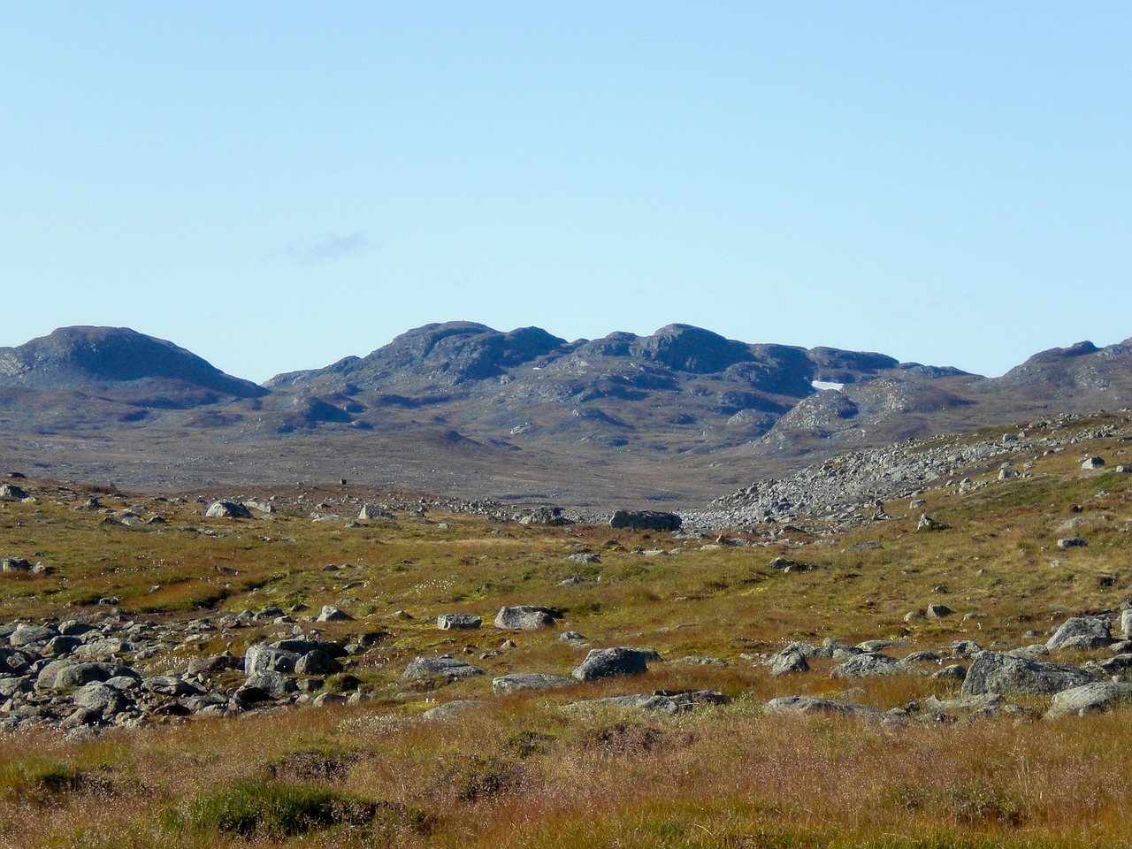 Hardangervidda Nationalpark